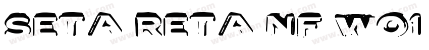 Seta Reta NF WO1 Reg字体转换